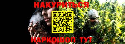 гидропоника Старая Купавна